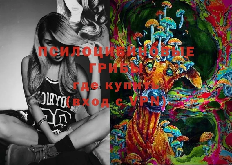 Псилоцибиновые грибы Psilocybine cubensis  hydra зеркало  Ипатово  где купить  